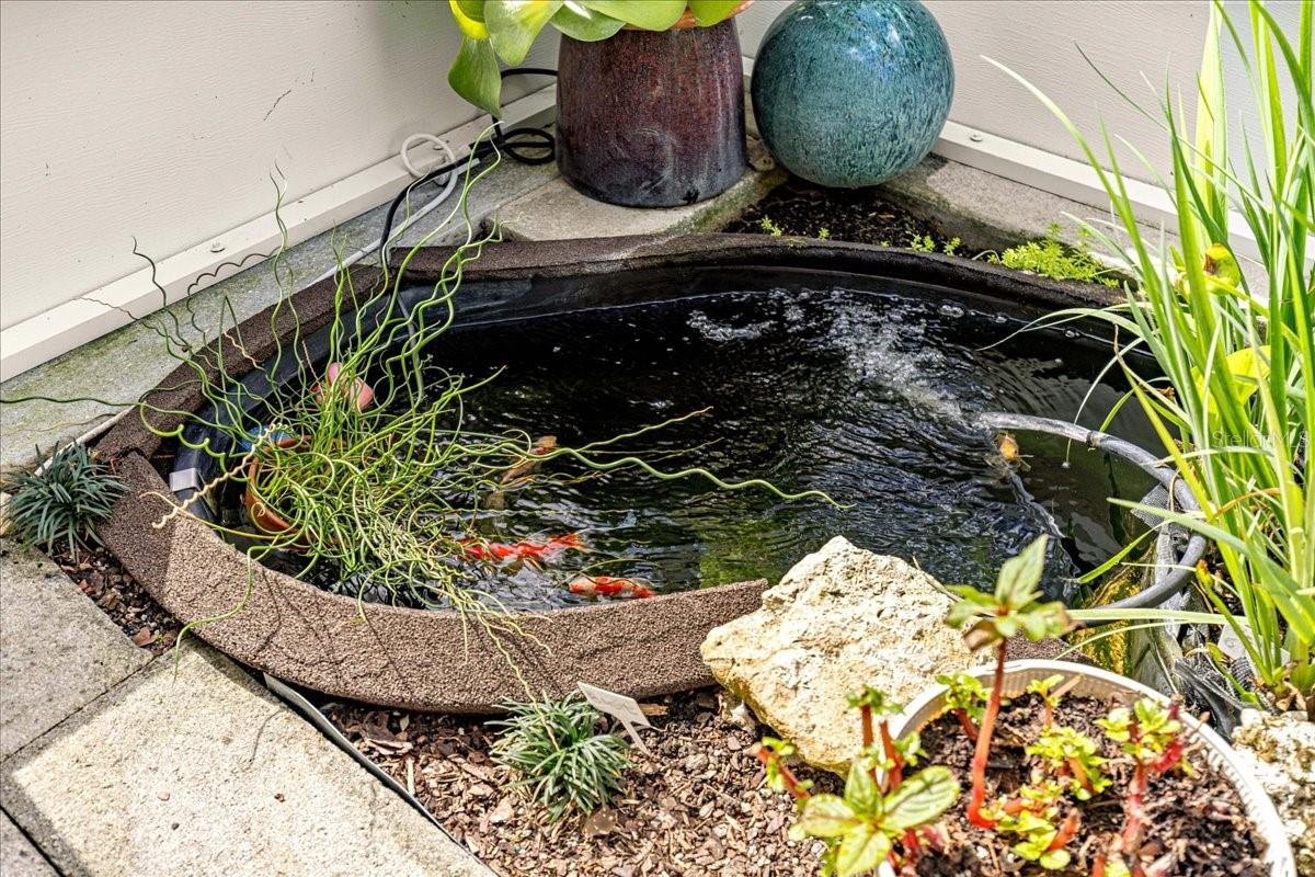 ON TOP OF THE WORLD - AVALON - Residential