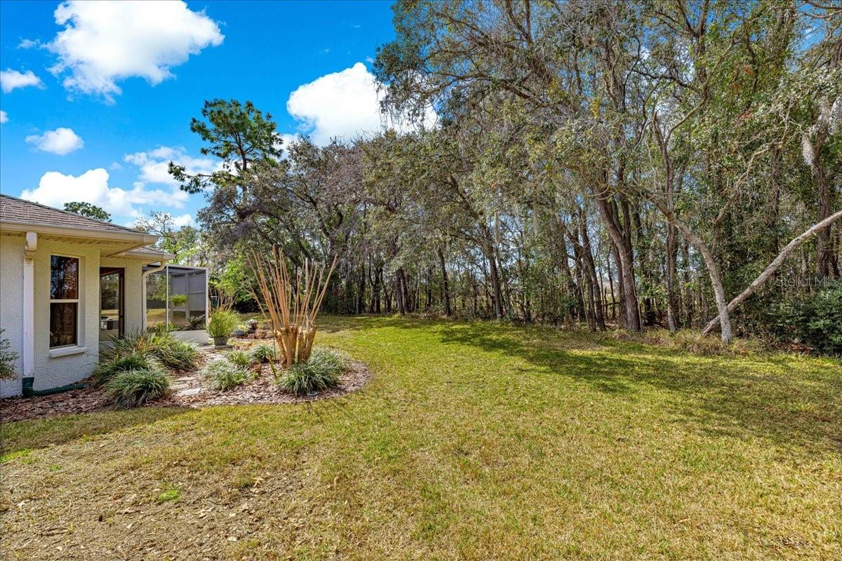 ON TOP OF THE WORLD - AVALON - Residential