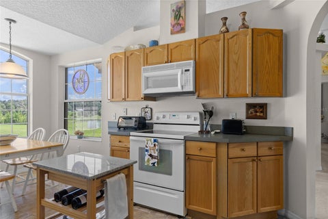 Tiny photo for 21341 Horse Ranch Road, Mount Dora, FL 32757 (MLS # O6425682)