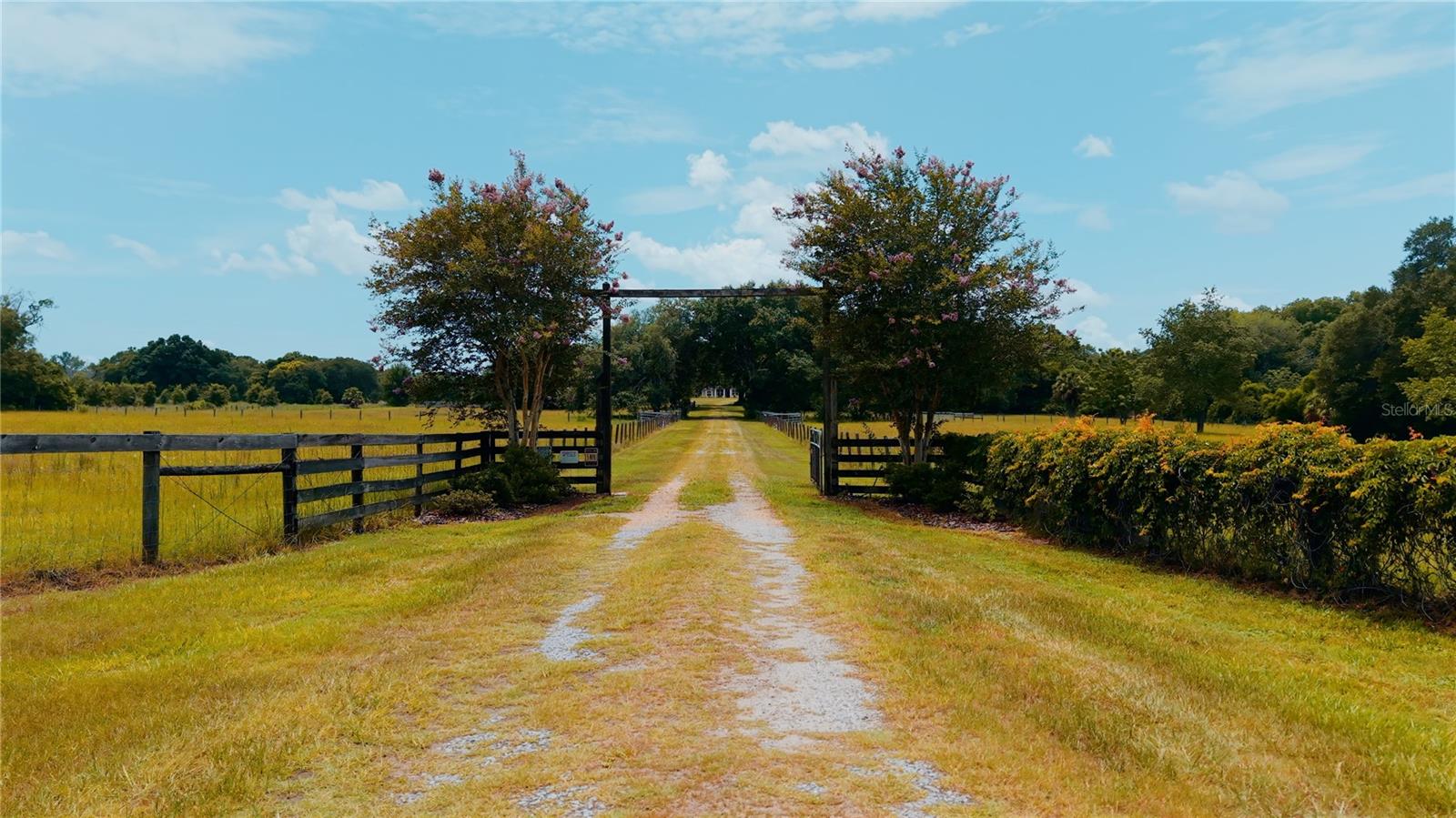 21341 HORSE RANCH ROAD