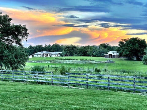 Tiny photo for 21341 Horse Ranch Road, Mount Dora, FL 32757 (MLS # O6425682)