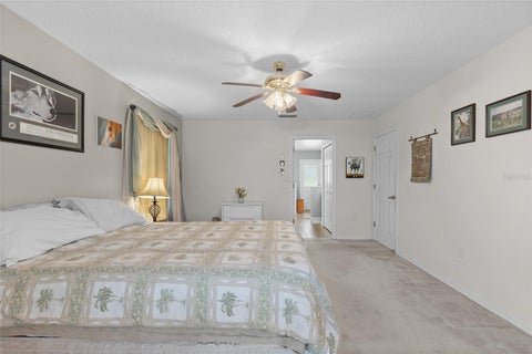 Tiny photo for 21341 Horse Ranch Road, Mount Dora, FL 32757 (MLS # O6425682)