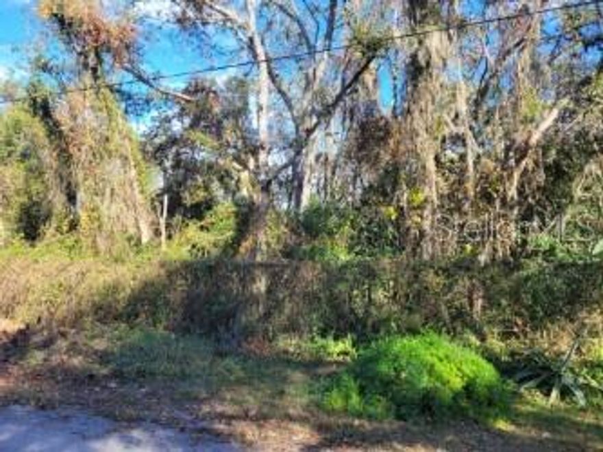 Prime 0.18-Acre Lot in Moon Lake Estates - Ideal for Your Dream Home!
This beautiful, wooded lot offers 0.18 acres of peaceful, mature landscaping, providing the perfect canvas for your future single-family or multi-family home. Located on a quiet, dead-end street in the up-and-coming Moon Lake Estates, this property promises a serene setting while being just minutes away from local conveniences. Surrounded by nature and tranquility, it's the ideal spot to build your dream home and enjoy the best of both worlds - privacy and community. Just minutes from the Suncoast Parkway 589 and only 30 minutes from the Tampa airport. There is shopping, a golf course and private airport in the area. Don't miss out on this incredible opportunity - make it yours today and start building tomorrow!