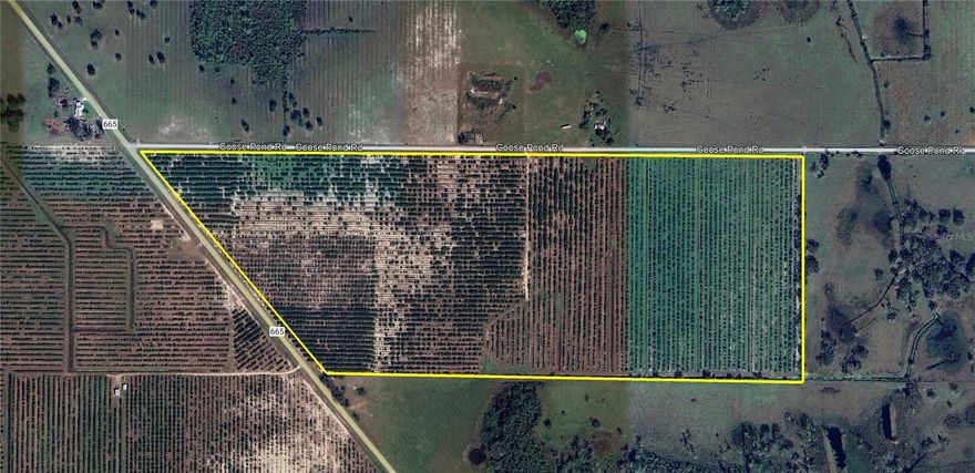 101+ Acres in Ona, FL-Newly Platted into Ten 10-Acre Tracts. Formerly a producing citrus grove, now cleared and ready for multiple uses. Includes a 12" well, A-1 zoning, and Flood Zone X designation. Newly approved plat with Hardee County divides the land into ten individual 10-acre tracts, offering options for farming, livestock or rural residences.