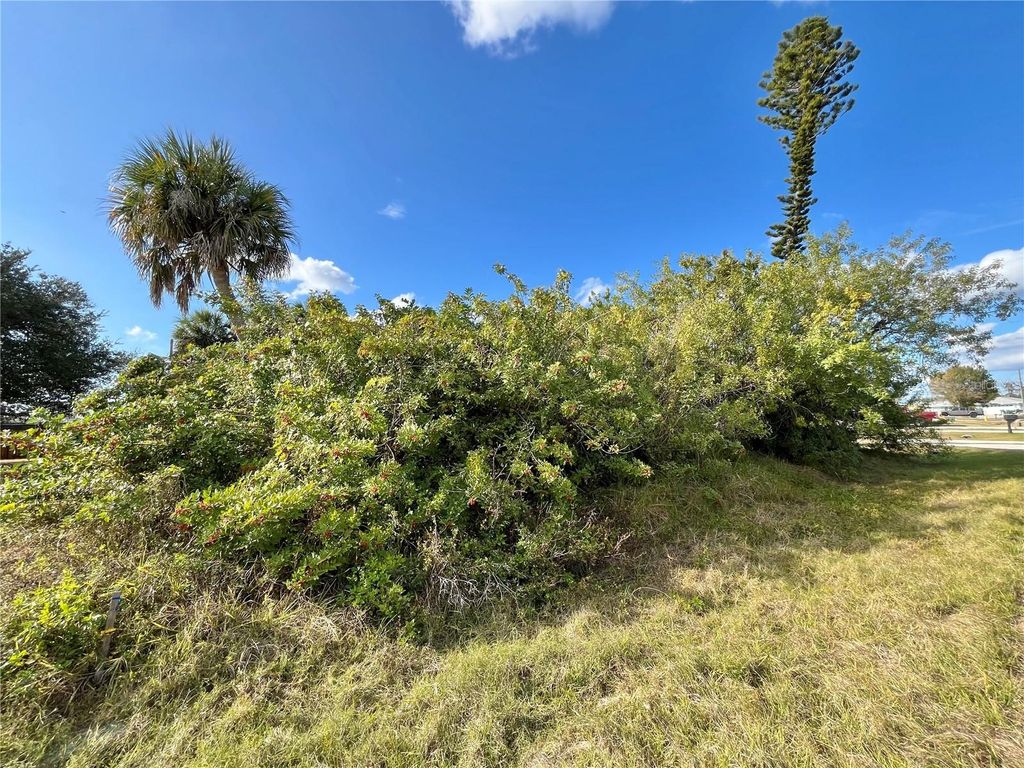 Photo of 4231 Oneill Street, Port Charlotte, FL 33948 (MLS # C7521021)