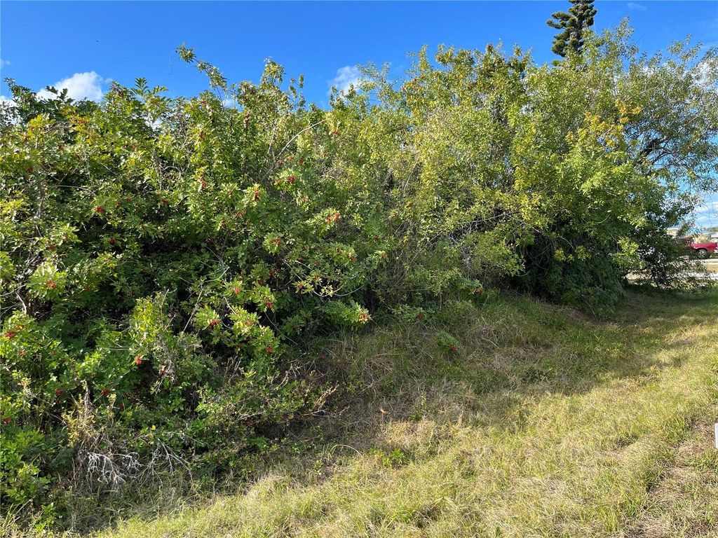 Photo of 4231 Oneill Street, Port Charlotte, FL 33948 (MLS # C7521021)