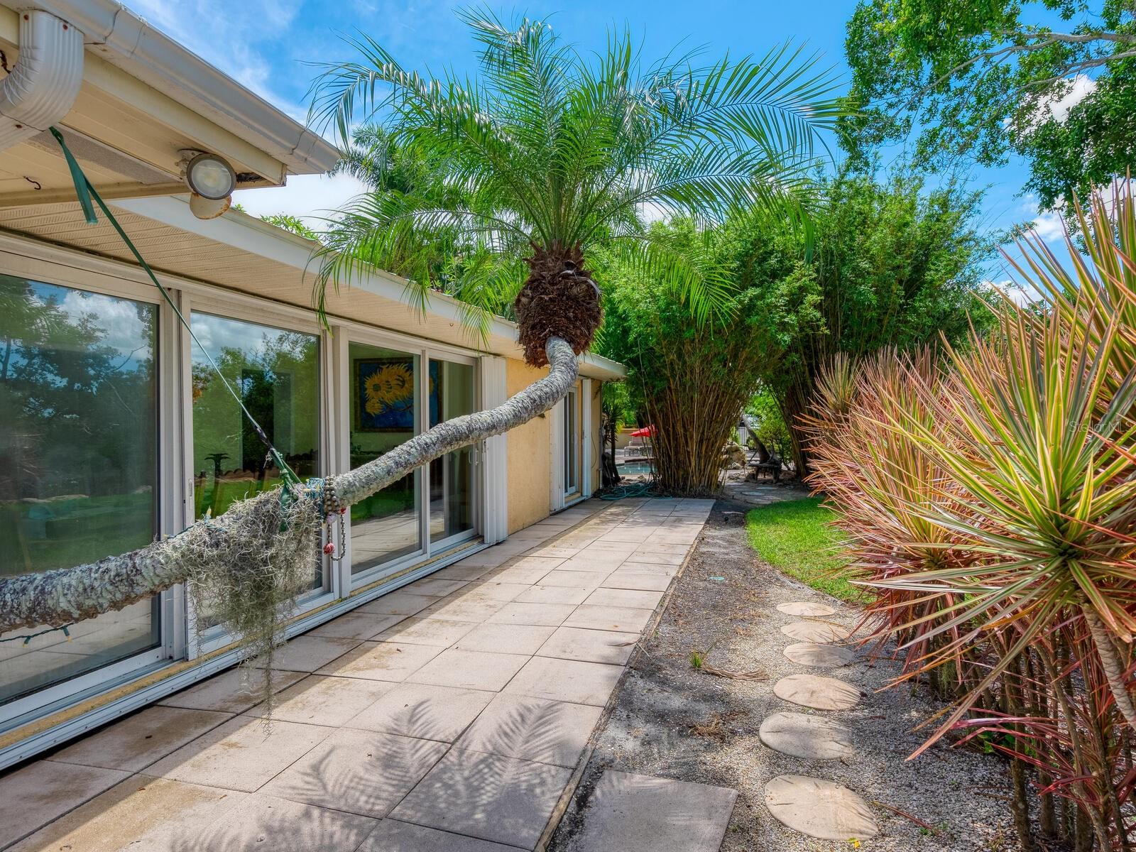 RICHARDS ADD TO PALMETTO CONTINUED - Residential