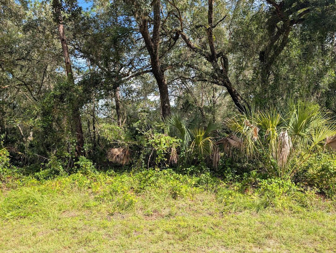 INDIAN LAKE ESTATES - Land