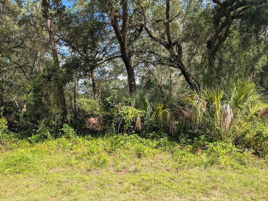 Build your forever home on this beautiful acre property consisting of two half-acre lots. The lots are located in the lake community of Indian Lake Estates, a golfing, fishing and boating community in the center of Florida. You can be out on Lake Walk in Water fishing in just a few minutes! Indian Lake Estates is about 20 miles east of Lake Wales. The community surrounds the 7,500 acre lake locally known as Lake Walk In Water, nationally known for its fishing and considered to be one of the best bass fishing lakes in all Florida. The lake has a beach, boat ramp, boat marina and the longest freshwater Fishing pier in the State of Florida. The pavilion is located at the front of the pier and is complete with propane grills and covered picnic tables. The community amenities include an 18-hole golf course, basketball and tennis courts, 23, 000 sq.ft. clubhouse, cafe, post office, churches, library, fitness room and pro shop. If you love nature and the peace and quiet of the country you're in luck. Wildlife is plentiful! You will see deer, raccoon, turkey, turtles, cranes and various species of birds that call Indian Lake Estates their home. Orlando and Disney is only about an hour's drive north and Tampa, Busch Gardens, and the Gulf's pristine beaches only a little over an hour west. Historic Bok Tower, a National Landmark, is in nearby Lake Wales. The Westgate River Ranch Resort and Rodeo is just six miles away. An authentic Florida dude ranch and full-service resort offering guests the opportunity to experience "Old Florida." Encompassing 1,700 beautiful acres, Westgate River Ranch features horseback riding, wildlife airboat and swamp buggy rides, Saturday night championship rodeo, trap/skeet range, nature hikes, petting farm, marina, Adventure Park with zip line and rock climbing wall, Westgate Smokehouse Grill and River Ranch Saloon and much more. Cowboy-themed accommodations range from ranch-themed lodge guestrooms and deluxe lodge suites to spacious cottages, two-bedroom cabins, Glamping and Luxe Teepees. Come out and see how great life can be at Indian Lake Estates! Polk County's best kept secret!