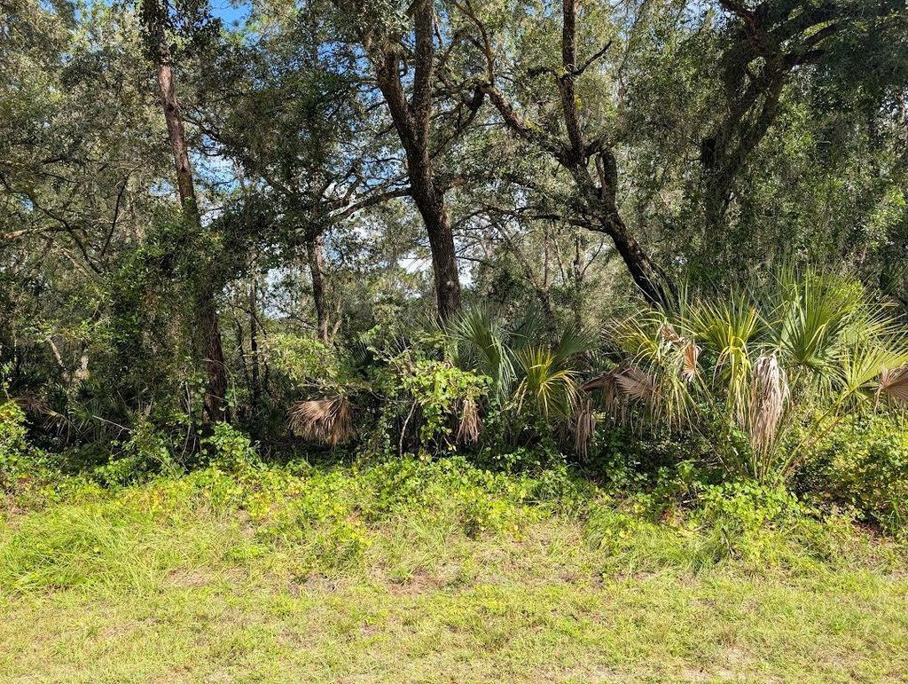 Photo of 914 Poinciana Drive, Indian Lake Estates, FL 33855 (MLS # TB8433592)
