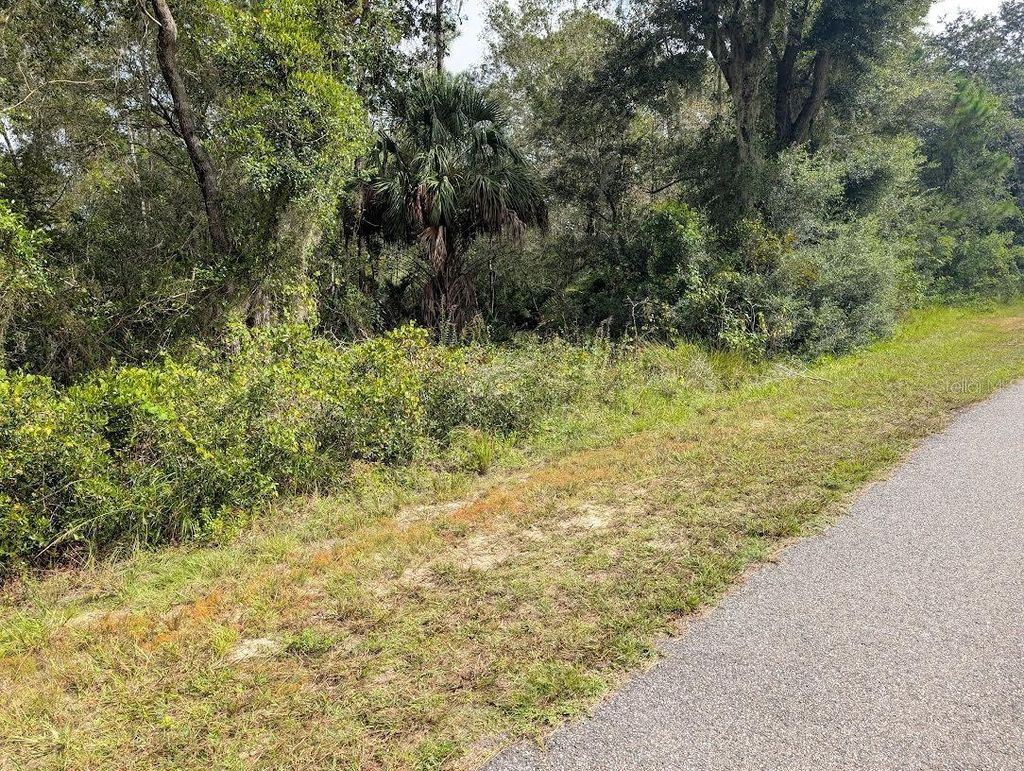 Photo of 914 Poinciana Drive, Indian Lake Estates, FL 33855 (MLS # TB8433592)