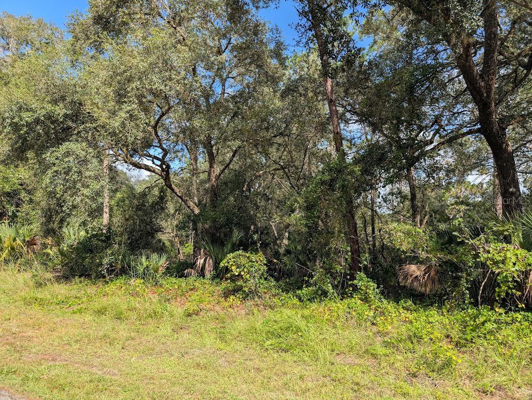 INDIAN LAKE ESTATES - Land