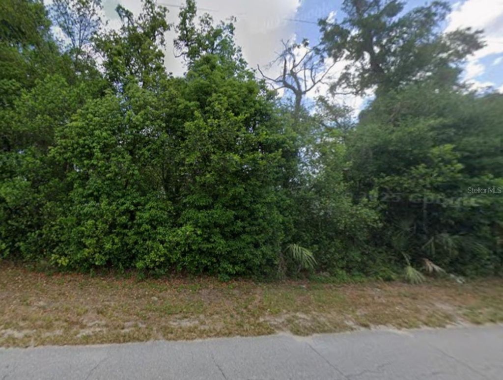 Photo of Old Trilby Road, Dade City, FL 33523 (MLS # TB8445682)
