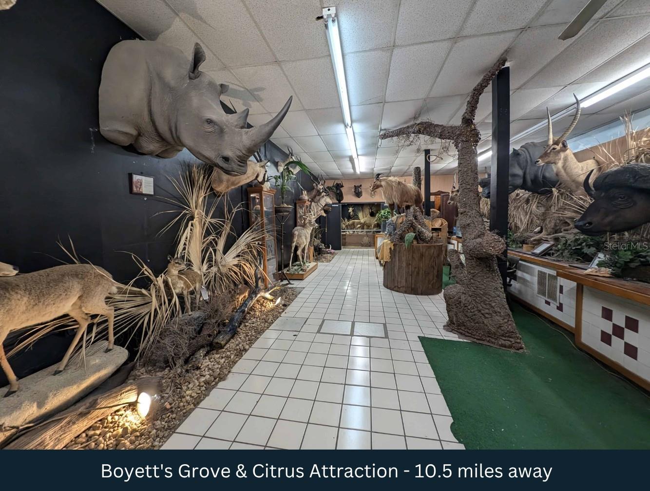 BYRD & BUTTS ADD - Land