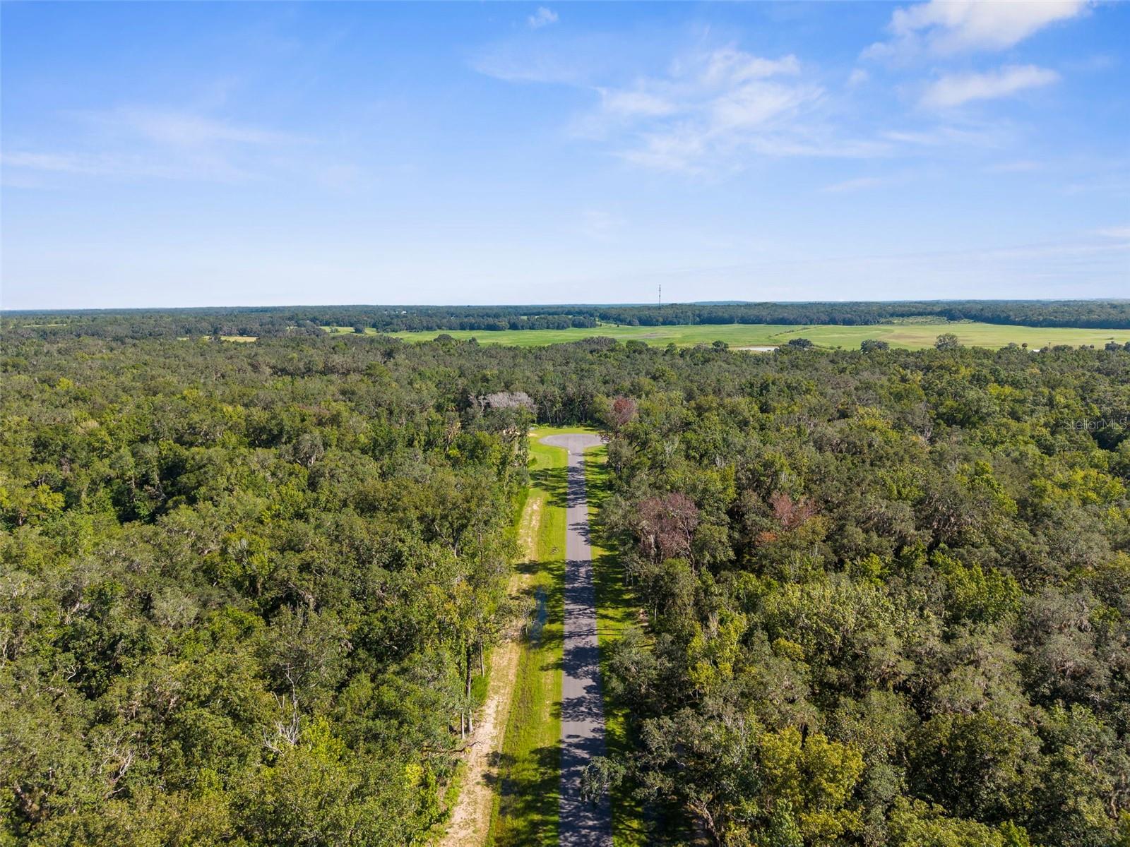 CHAMPION ESTATES - Land
