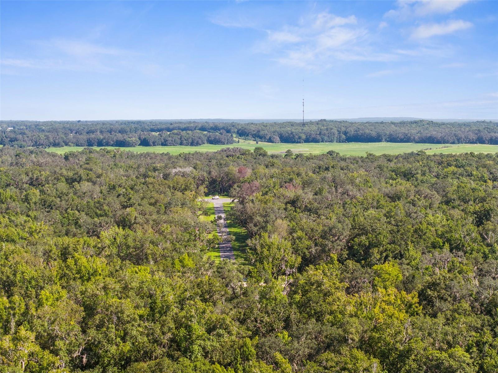 CHAMPION ESTATES - Land