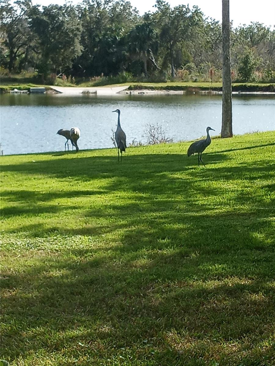 HERON LAKES - Residential