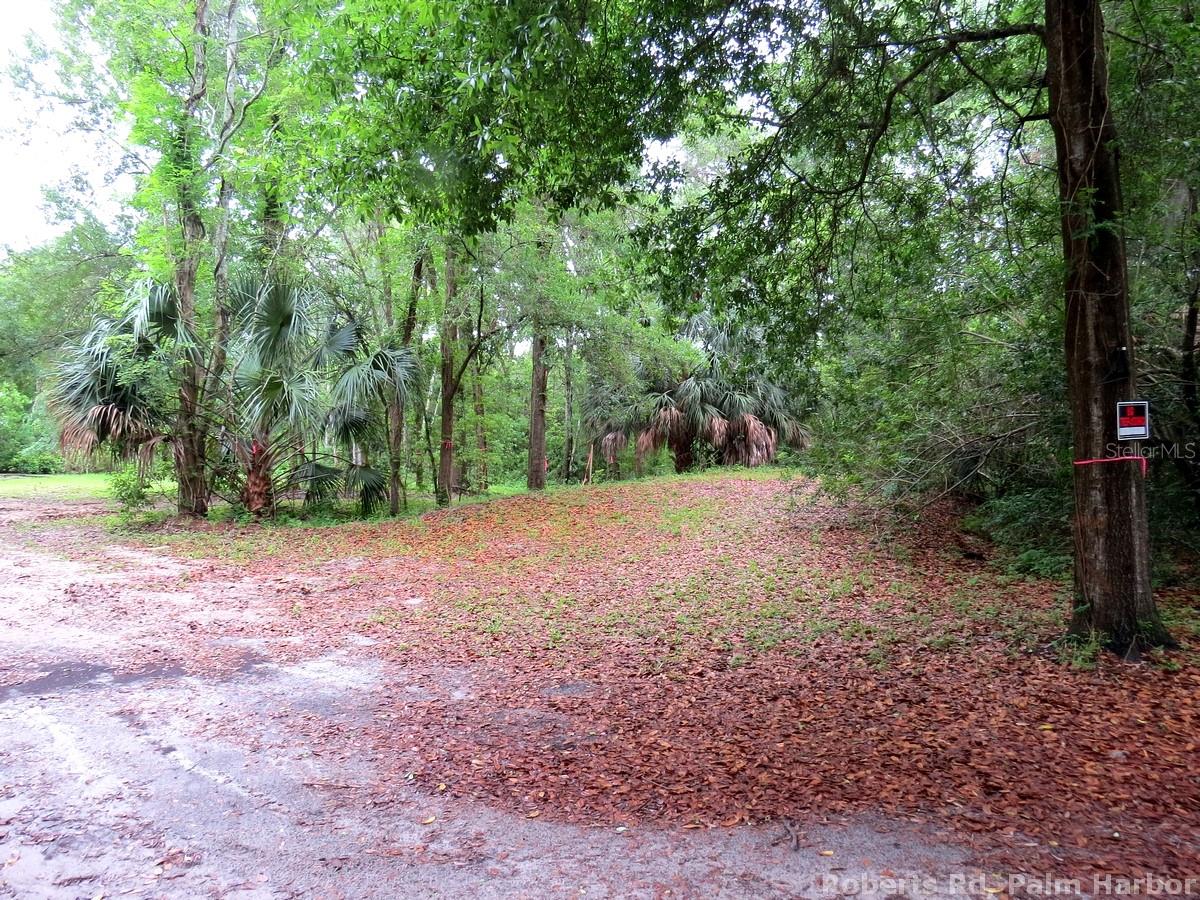 TAMPA & TARPON SPGS LAND CO - Land