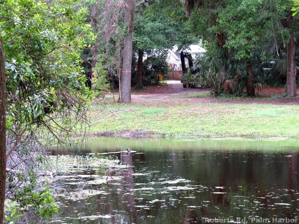 Photo of Roberts Road, Palm Harbor, FL 34683 (MLS # TB8348521)