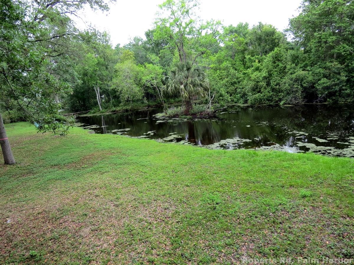 TAMPA & TARPON SPGS LAND CO - Land