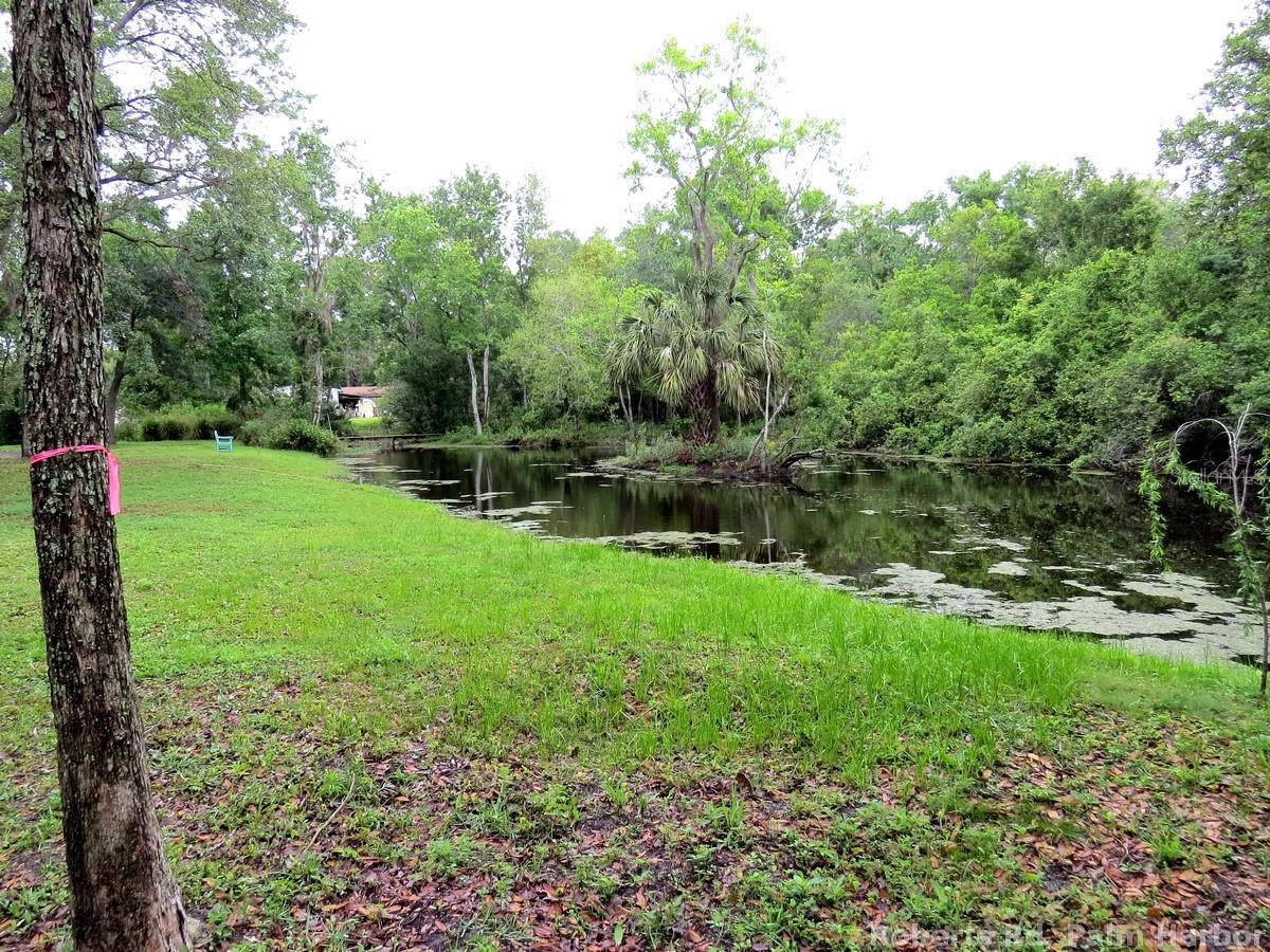 TAMPA & TARPON SPGS LAND CO - Land