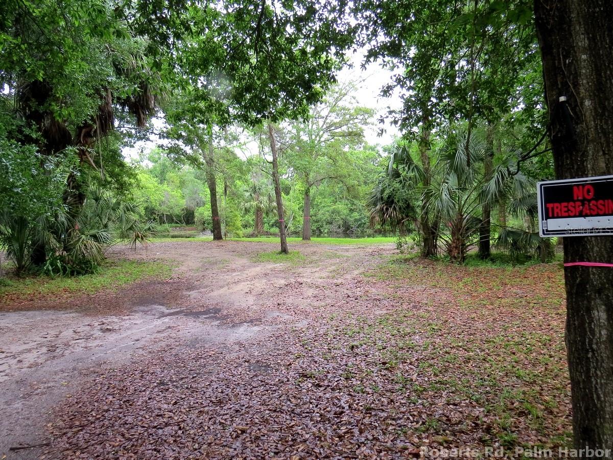 TAMPA & TARPON SPGS LAND CO - Land