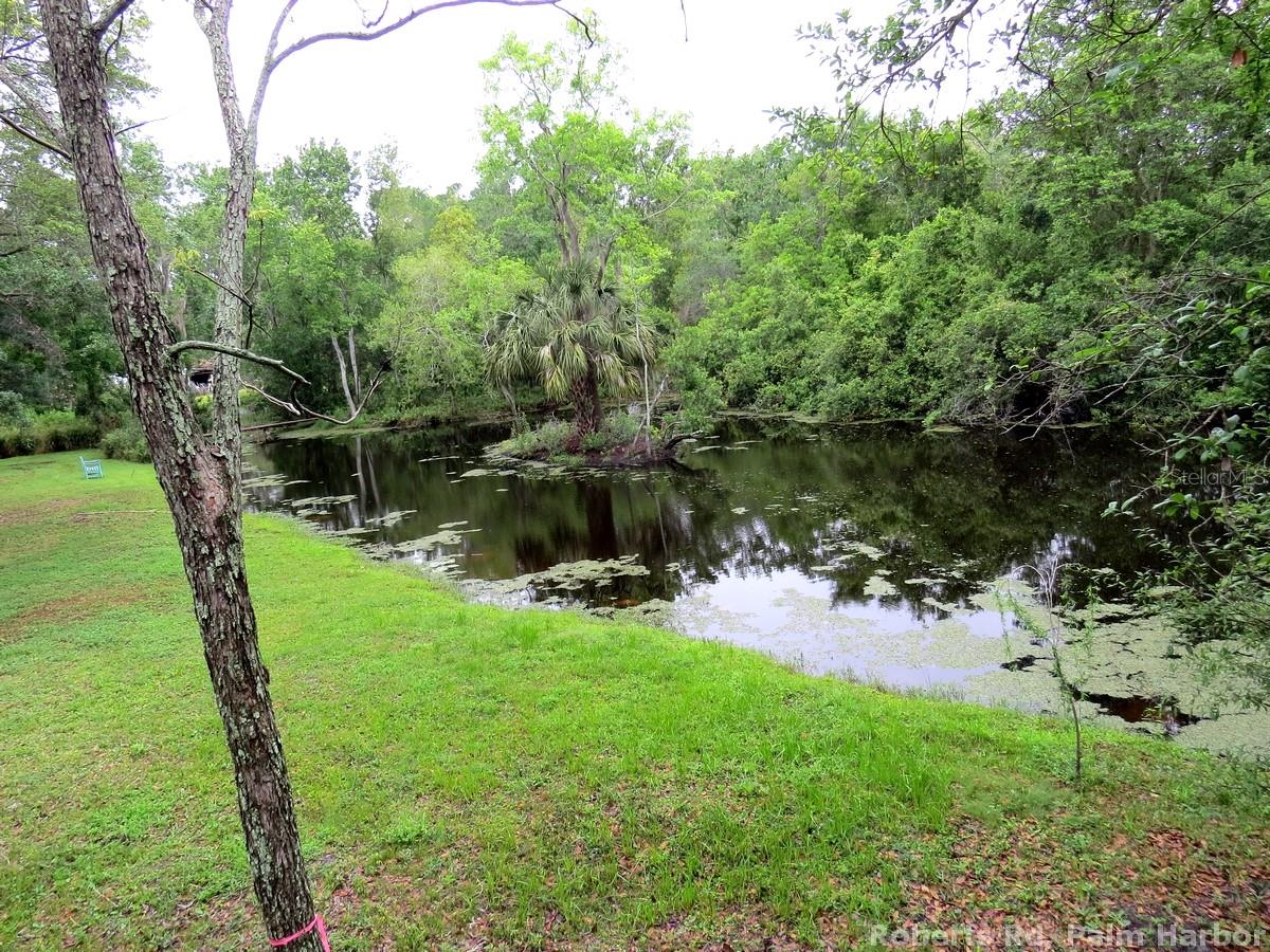 TAMPA & TARPON SPGS LAND CO - Land