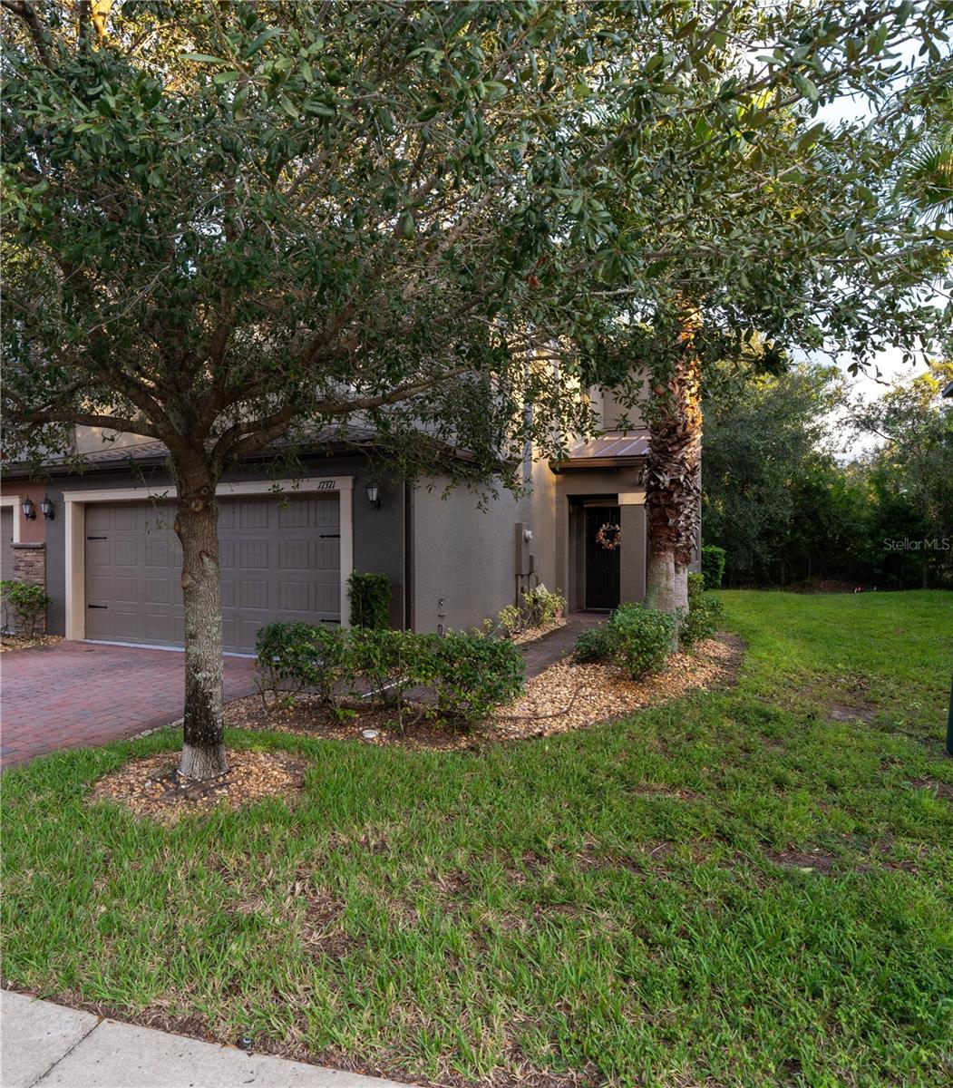 17371 OLD TOBACCO ROAD