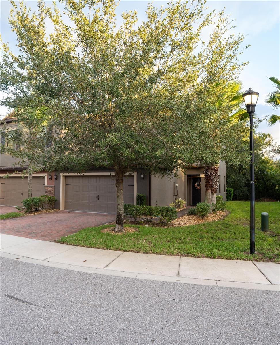 HIDDEN OAKS TWNHMS - Residential