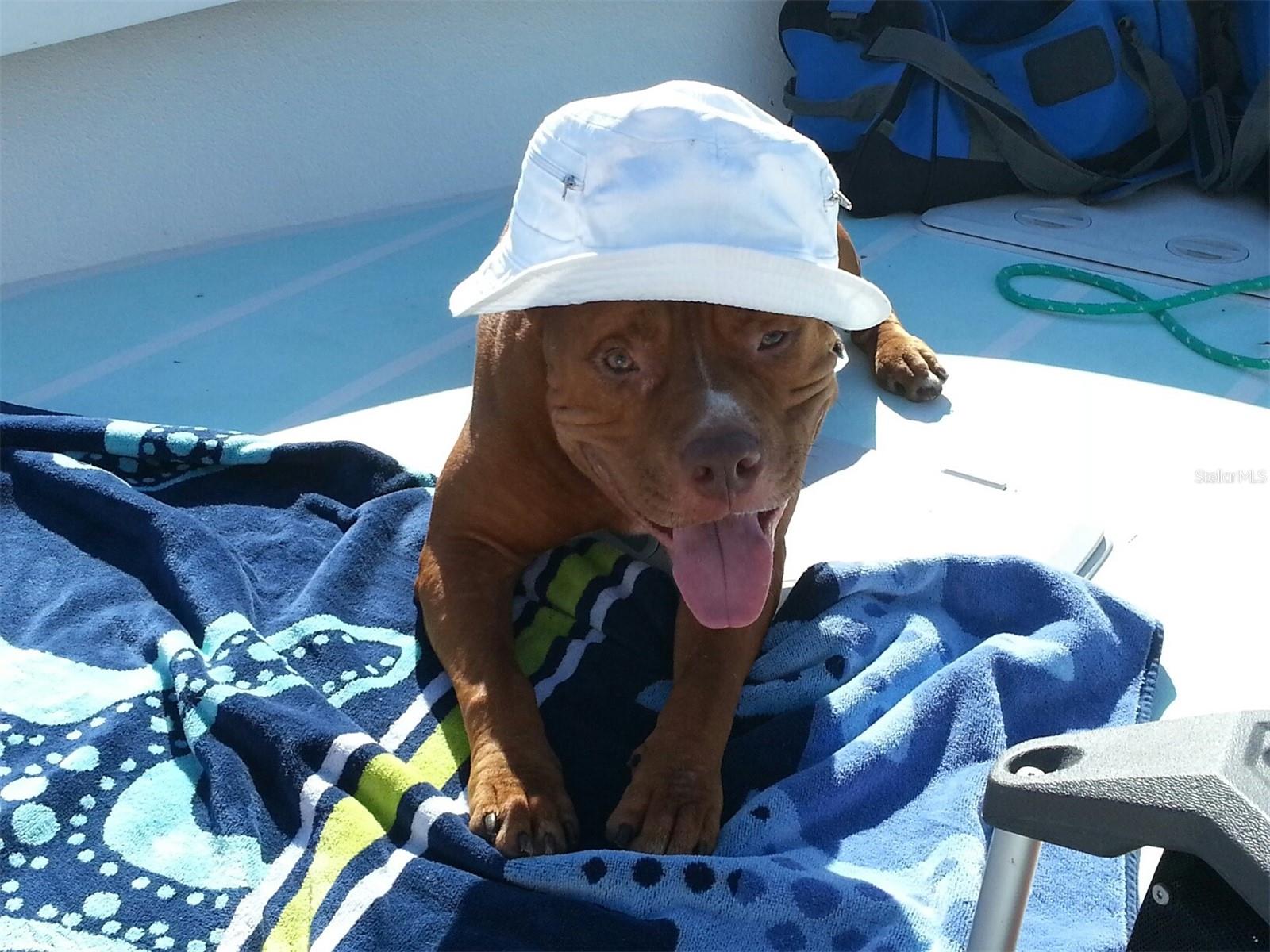 PORT CHARLOTTE SEC 069 - Land