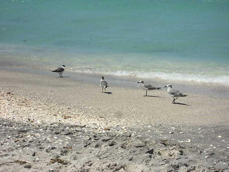 PORT CHARLOTTE SEC 069 - Land