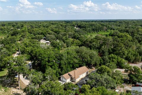 Tiny photo for 31080 Lochmore Circle, Sorrento, FL 32776 (MLS # G5112308)