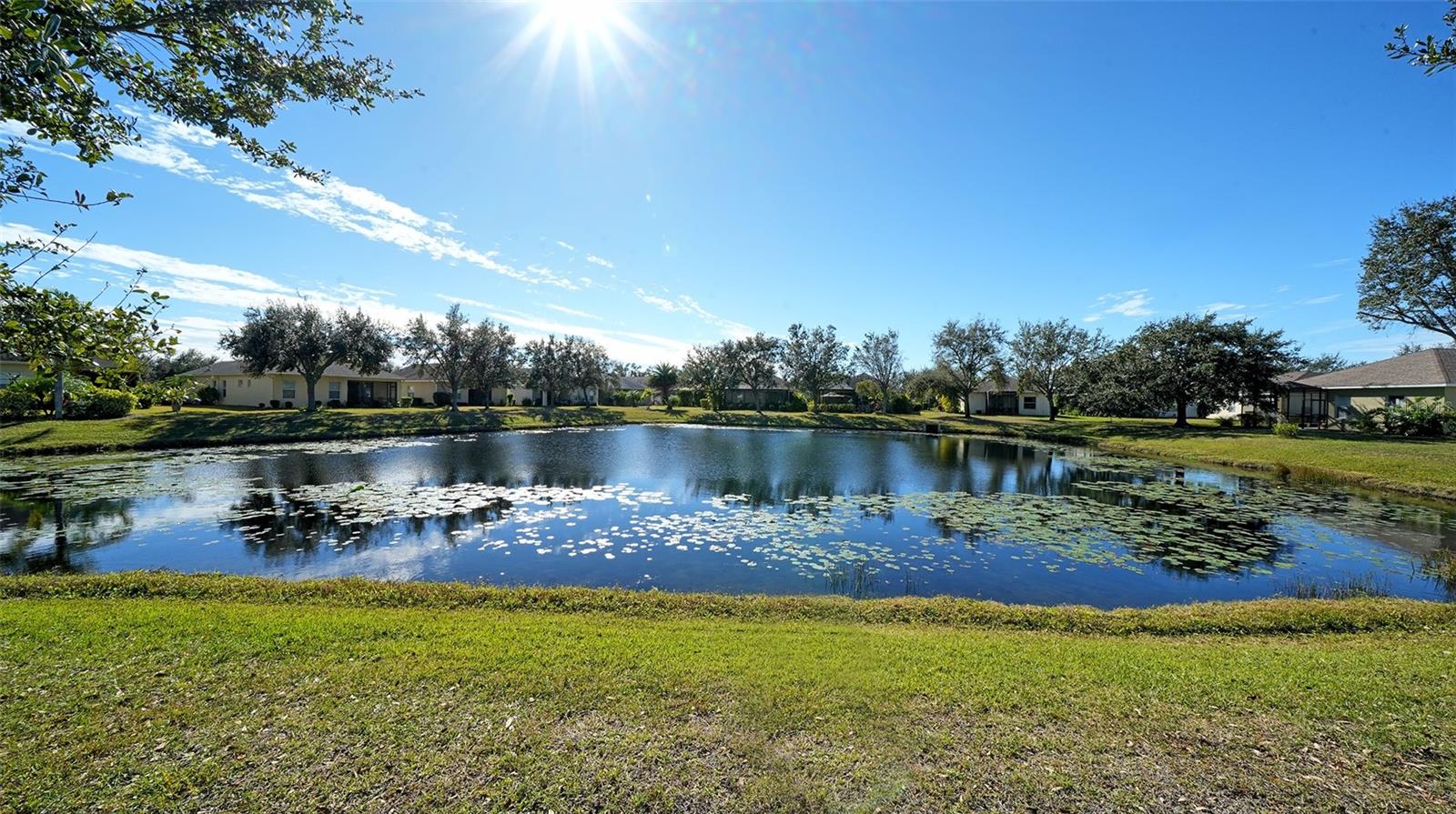 CENTRAL PARK SUBPHASE A-1B - Residential