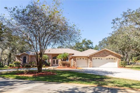 Photo of 10837 Osceola Drive, New Port Richey, FL 34654 (MLS # W7880465)