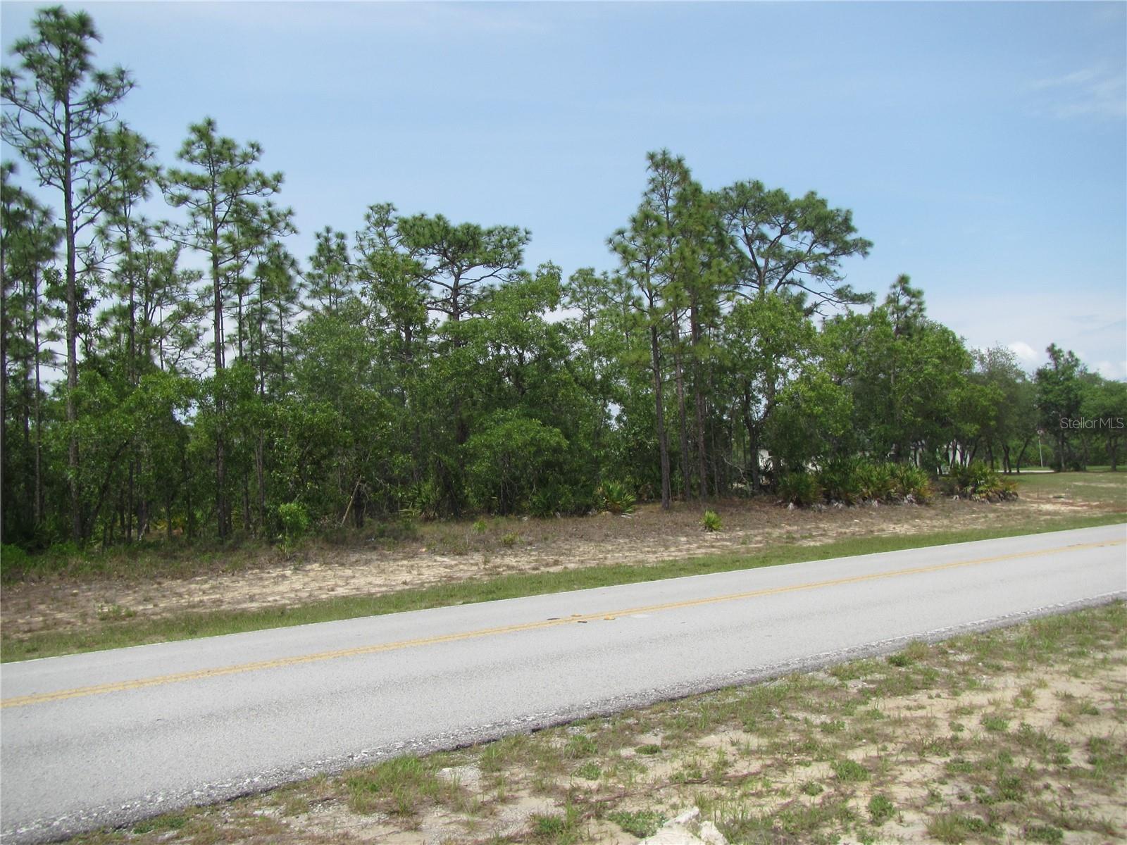 Listing image 1