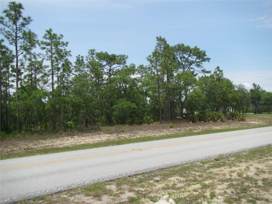This beautiful, flat 2.75 acre lot located in the picturesque equestrian Community of Pine Ridge Estates.  High and dry, this homesite is ready for you to build your dream home.  Site-built homes only-no mobile or manufactured homes.  This community allow horses, additional garages, barns and fencing.  Over 27 miles of scenic horse trails meandering throughout the community.  The community center features lighted tennis courts, shuffleboard, equestrian arenas, a covered playground, a gazebo, an RC flying field and an activity center.  Minutes from shopping, medical facilities, and Crystal River for boating, fishing, kayaking and swimming.