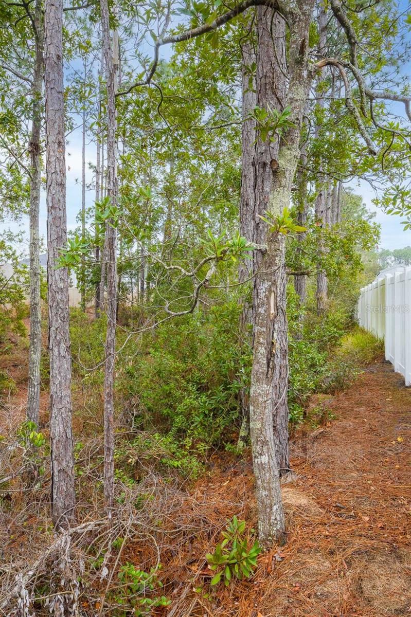 PALM COAST SEC 27 BLK 58 & 59 - Residential