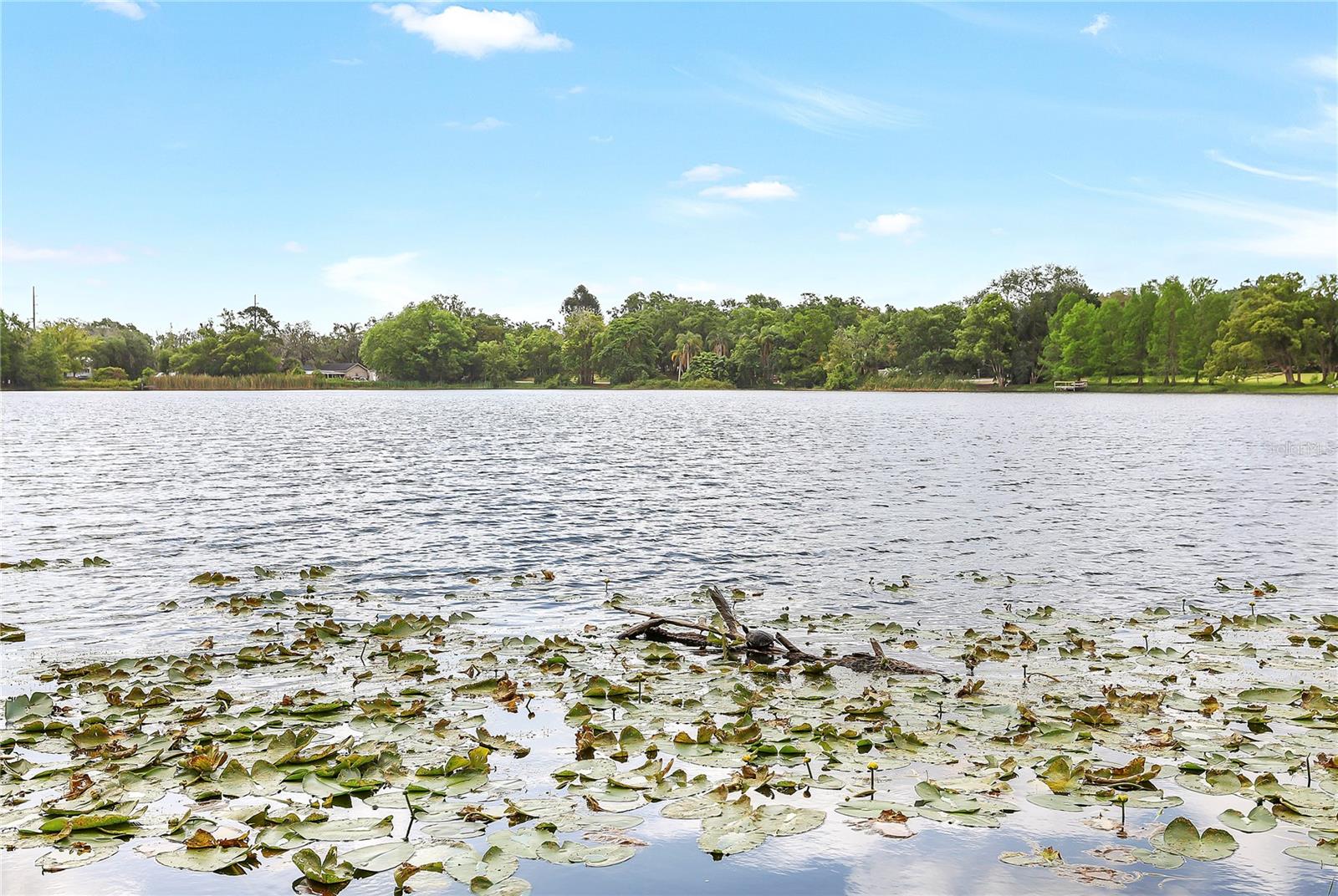 LAKESIDE HOMES - Residential