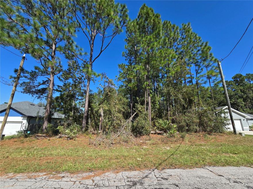 Welcome to this 1/4 acre lot in Marion Oaks, ready for your new build. The lot is located between two homes so utility access is close. Located only 13 mins from I-75, this is a great location for owners that need to reach the highway quickly and less than 20 mins from World Equestrian Center.  The World Equestrian Center was named as TIME magazines 2024 World's Greatest Places. The complex offers world-class dining, luxury accommodations, boutique shopping, seasonal festivals along with activities for horse lovers. This lot is in one of the more developed areas of Marion Oaks.  Utility letter and Benefitting parcel letter available. Marion Oaks is a large, residential community in Marion County, Florida. It is located just west of the city of Ocala and is known for being a peaceful, friendly area with a mix of residential homes, undeveloped lots, and new construction. The community has its own center, library, parks, and is close to Ocala's downtown amenities and outdoor recreation areas.