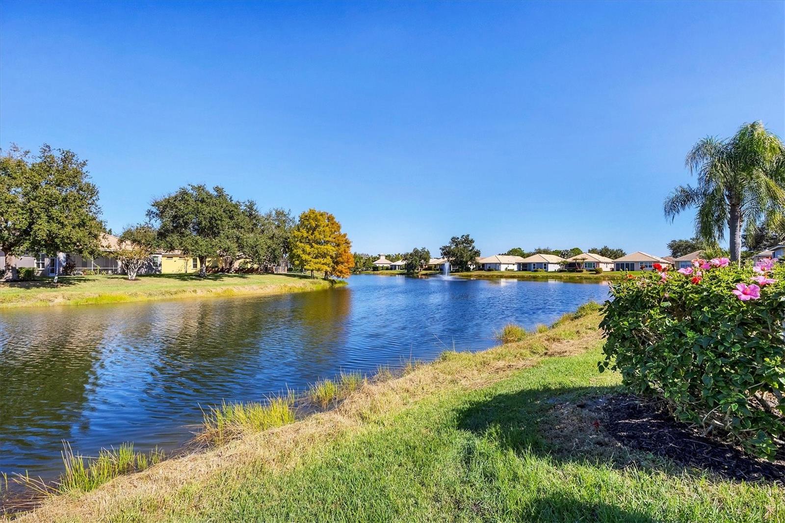 VILLA ROSA - Residential