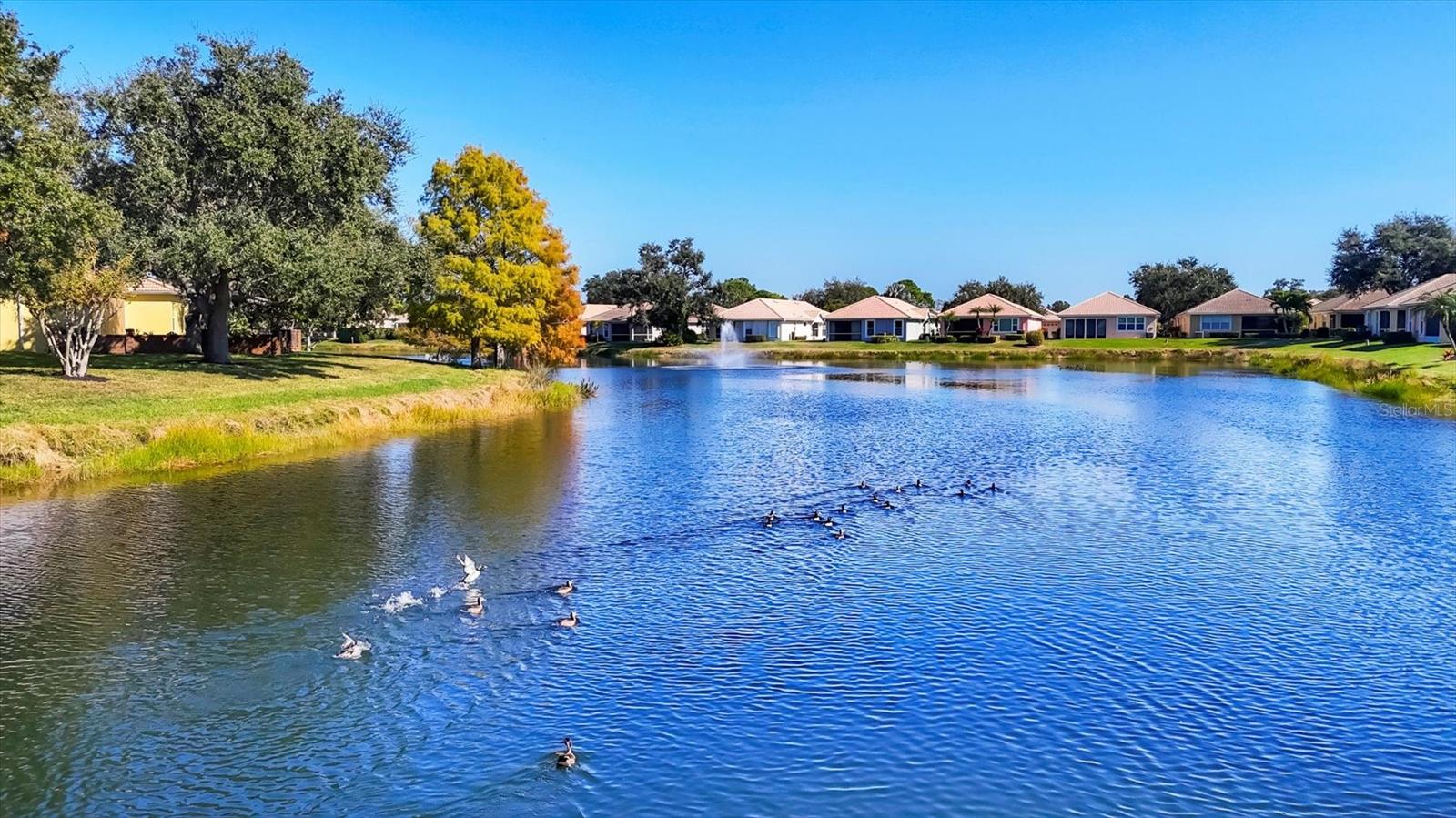 VILLA ROSA - Residential