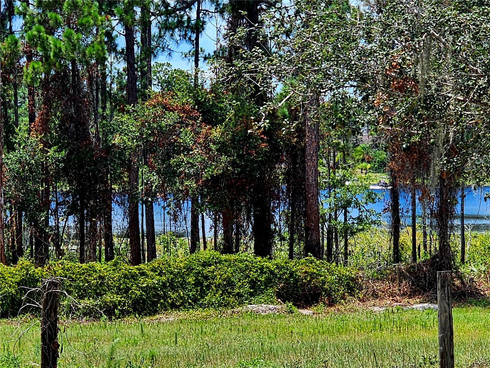 600 LAKE BUTLER AVENUE