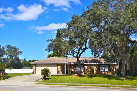 A home in DELTONA