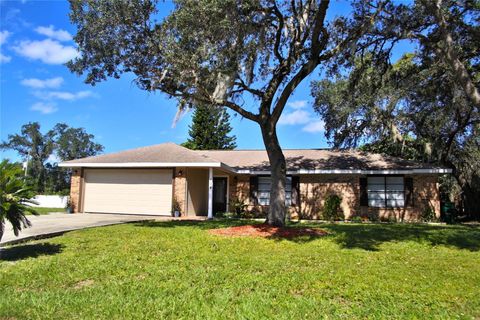 A home in DELTONA