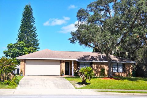 A home in DELTONA