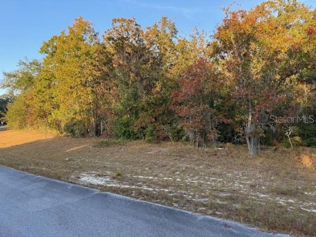 Photo of Tbd SW 138th Lane, Ocala, FL 34473 (MLS # OM713800)