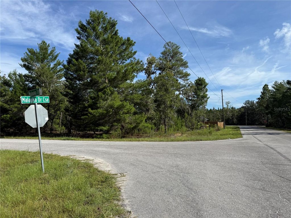 Photo of Malauka Trail, Ocklawaha, FL 32179 (MLS # W7879090)