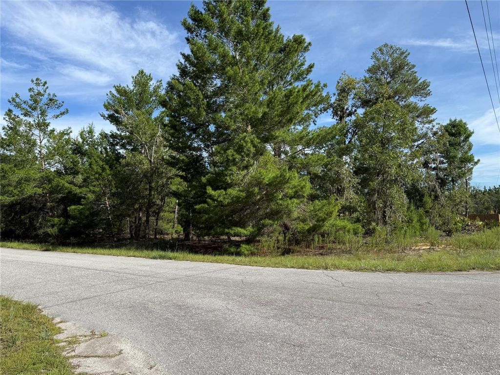 Photo of Malauka Trail, Ocklawaha, FL 32179 (MLS # W7879090)