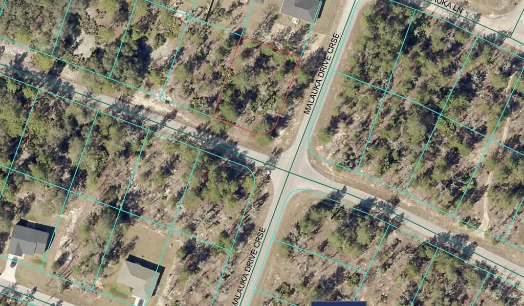 Photo of Malauka Trail, Ocklawaha, FL 32179 (MLS # W7879090)