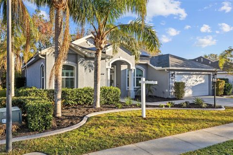 A home in BRADENTON